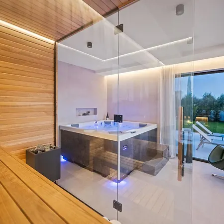 Asmoa For 8 People Near Porec With 45 M2 Heated Pool, Wellness & Sea View Rapavel