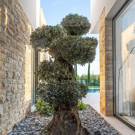 Asmoa For 8 People Near Porec With 45 M2 Heated Pool, Wellness & Sea View * Rapavel